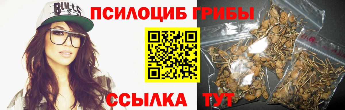 Псилоцибиновые грибы Psilocybe  магазин продажи наркотиков  Псилоцибиновые грибы ЛСД  Назрань  Вход с VPN 
